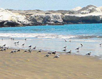 Ministerio del Ambiente declara zona reservada a Illescas