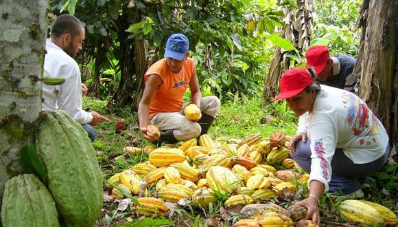 Macrorregión Oriente presenta una informalidad laboral del 85.2%. (Foto: GEC)