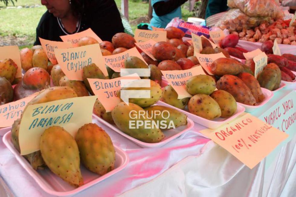 La tuna: De fea apariencia pero de sabor inigualable se luce en festival