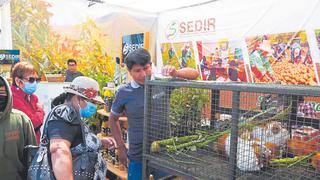 Chimbote: Feria reúne a 200 pequeños productores