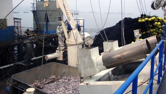 Produce suspende la extracción de anchoveta en el sur del país