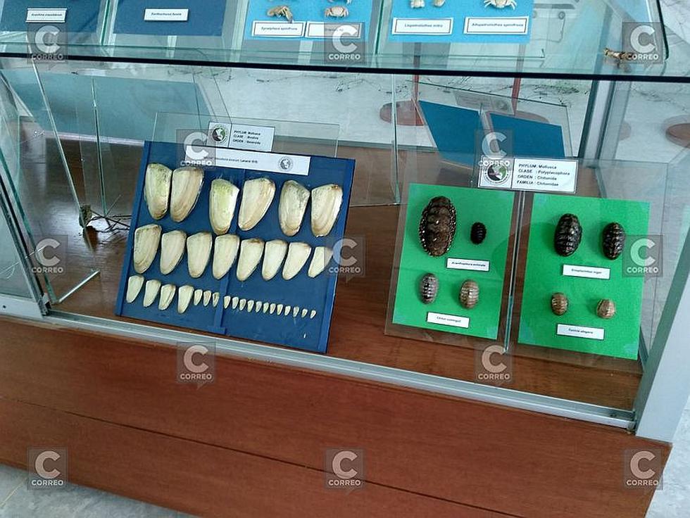 Puertas abiertas en laboratorio de Imarpe en Camaná(FOTOS)