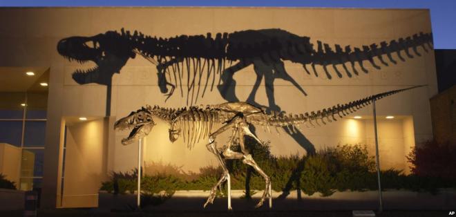 Washington: Un tiranosaurio llega a Museo de Historia Natural