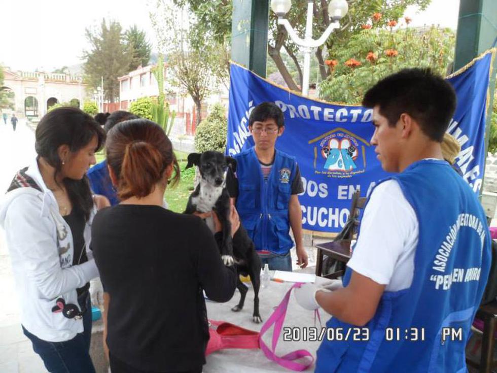 Alistan nueva campaña de atención y adopción de mascotas