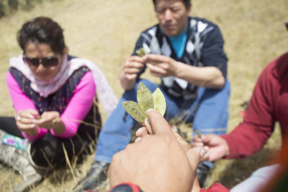 ¿Cómo se realiza un pago a la tierra?