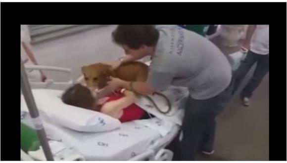 YouTube: Mujer con cáncer terminal se despide de su perrito (VIDEO)