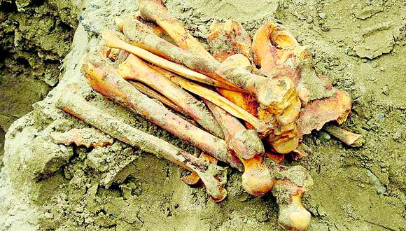 Hallan restos óseos en obra de Coishco
