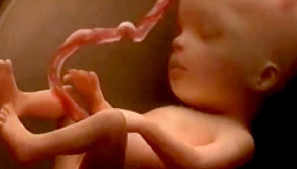 Polémica: Convierten fetos abortados y miembros amputados en energía