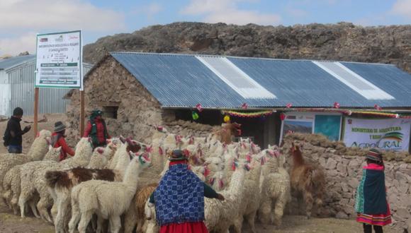 Agro Rural: los ganaderos deben comunicar a las autoridades locales para que hagan la supervisión correspondiente. (Foto: Agro Rural)
