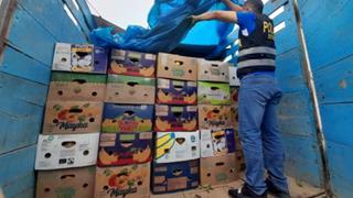 Intervienen tres camiones llenos de fruta de contrabando en Piura