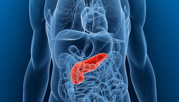 Identifican proteína clave en el desarrollo del cáncer de páncreas