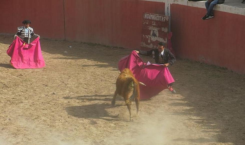 Corridas de toros en las  que no se sacrifican animales (FOTOS)
