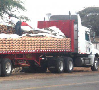 Incautan 75 sacos con 50 kg de maíz cada uno