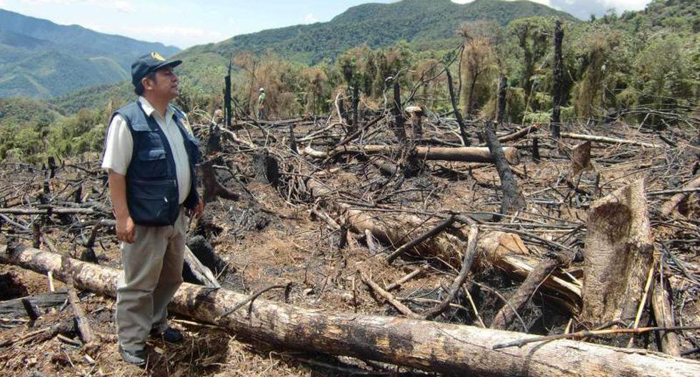 Perú 860 hectáreas del bosque de Carpish son talados y quemados indiscrimin NOTICIAS CORREO PERÚ