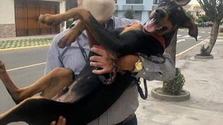 Fiscalía interviene Municipio de Arequipa por contratar chofer que cuidaba mascota