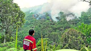 Incendios continúan en la selva alta