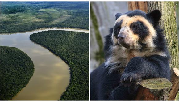 ​La Hora del Planeta Latinoamérica insta a elegir entre especies o ecosistemas