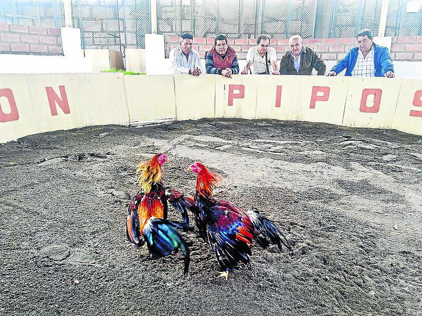 Gallos a la cancha