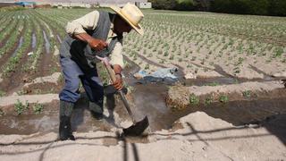 AGAP expresó su preocupación por las posibles restricciones de las importaciones de alimentos 