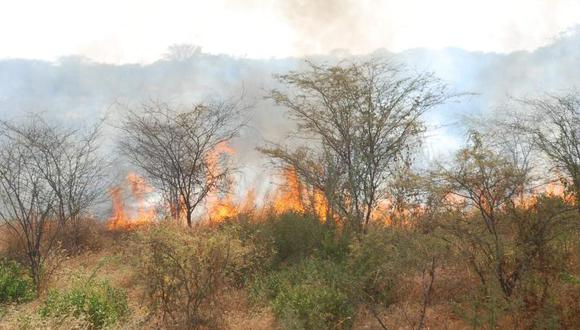 Detienen a guardia civil por acusado de provocar 19 incendios forestales