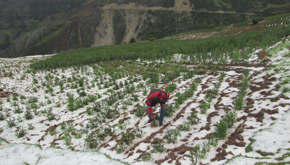 Pérdidas agrarias suman 18 millones en Huancavelica