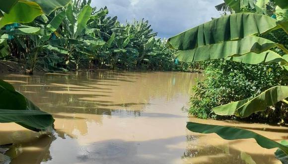 Sullana: Río Chira se desborda e inunda plantaciones de banano | EDICION | CORREO