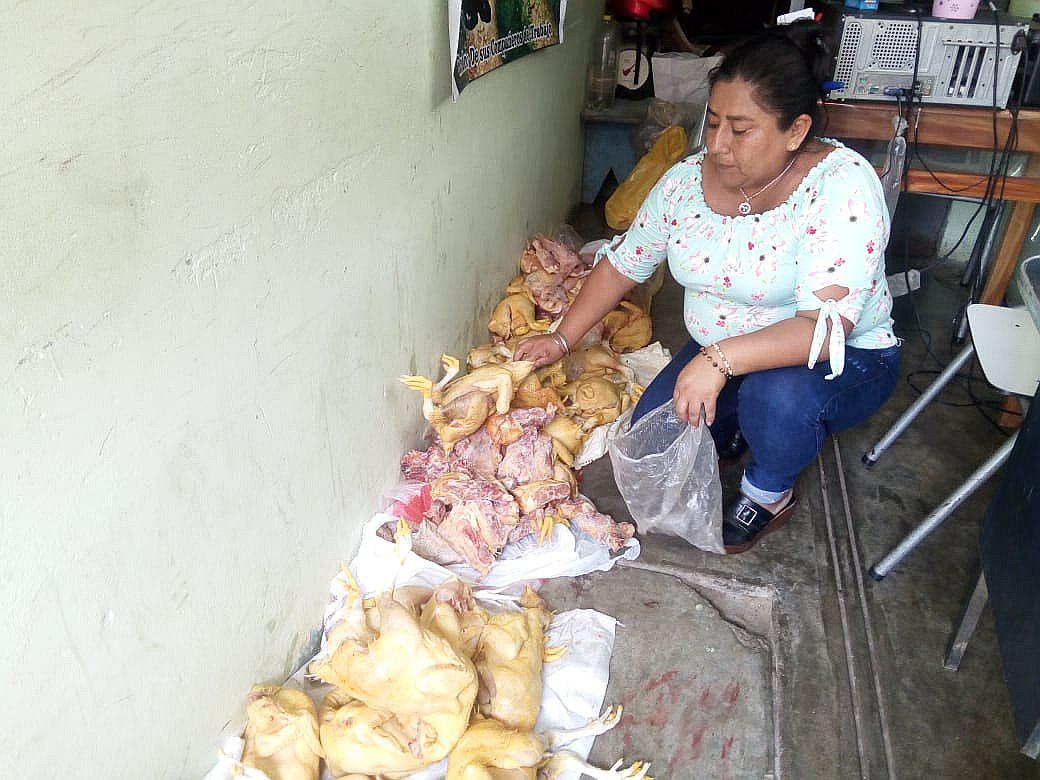 Decomisan pollos en mal estado que se vendían al público en Mercado Moshoqueque