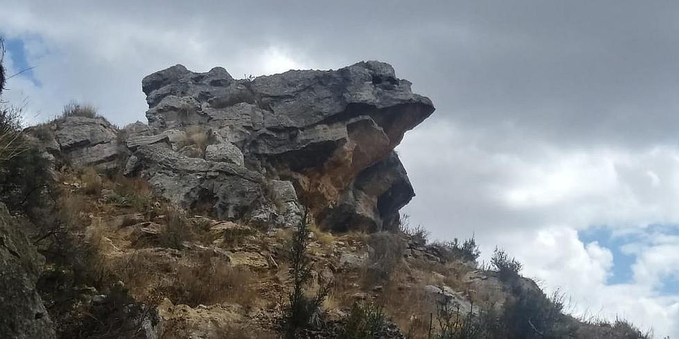 Conoce al "sapo” vigilante del valle del Mantaro (FOTOS)