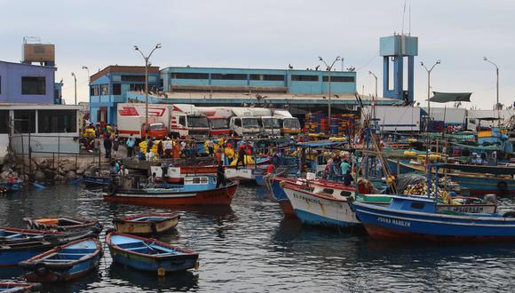 ILO: Por extraer 89 kilos de erizo condenaron a dos pescadores