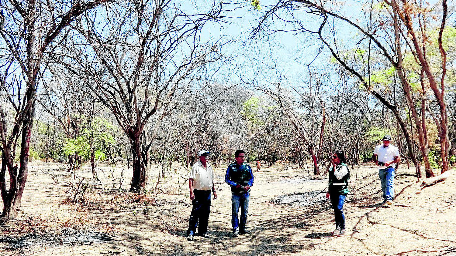 Campesinos del bosque seco se preparan para aprovechar sus recursos