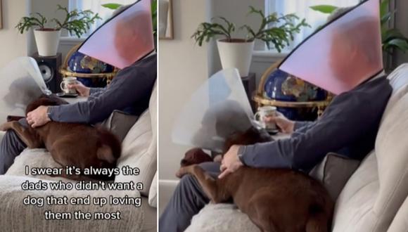 En esta imagen se aprecia al hombre usando un cono para que su perro “se sienta menos solo después de su cirugía”. (Foto: @good.boy.ollie / TikTok)