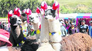 Distrito Ascensión celebra 15 años de aniversario