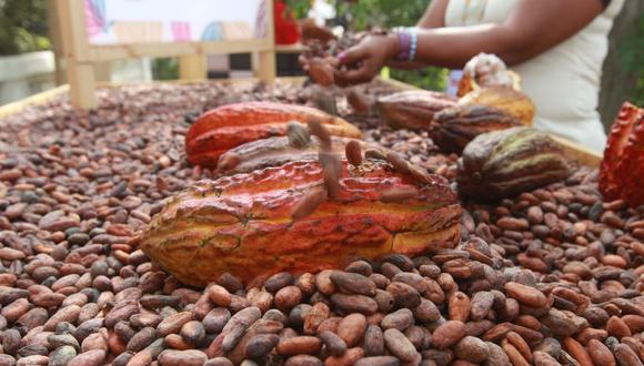 Las mypimes que forman parte del programa piloto producen cultivos como cacao, café y banano. (Foto: GEC)