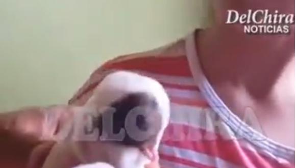 En Sullana nace perro con deformidad en su rostro y cabeza (VIDEO)