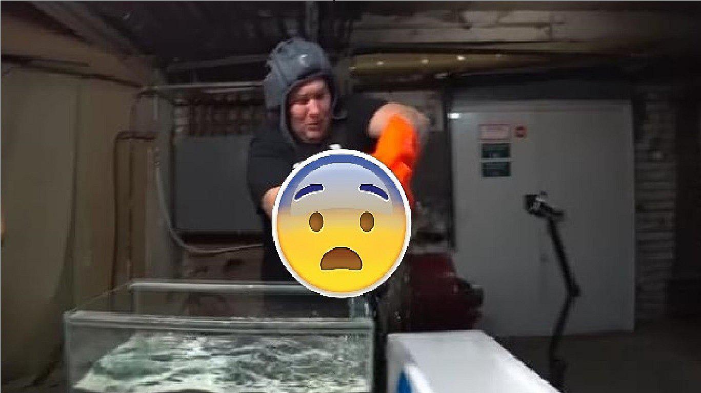 YouTuber congeló este animal con nitrógeno líquido para ganar seguidores (VIDEO)