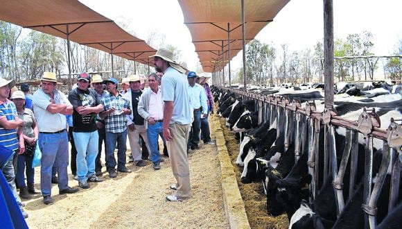 Su representante dice que hay un “hueco” económico de 12 días de acopio que significa S/40 millones para los ganaderos. (Foto: GEC)