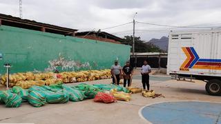 Serfor impide tráfico ilegal de más de 5 toneladas de palo santo