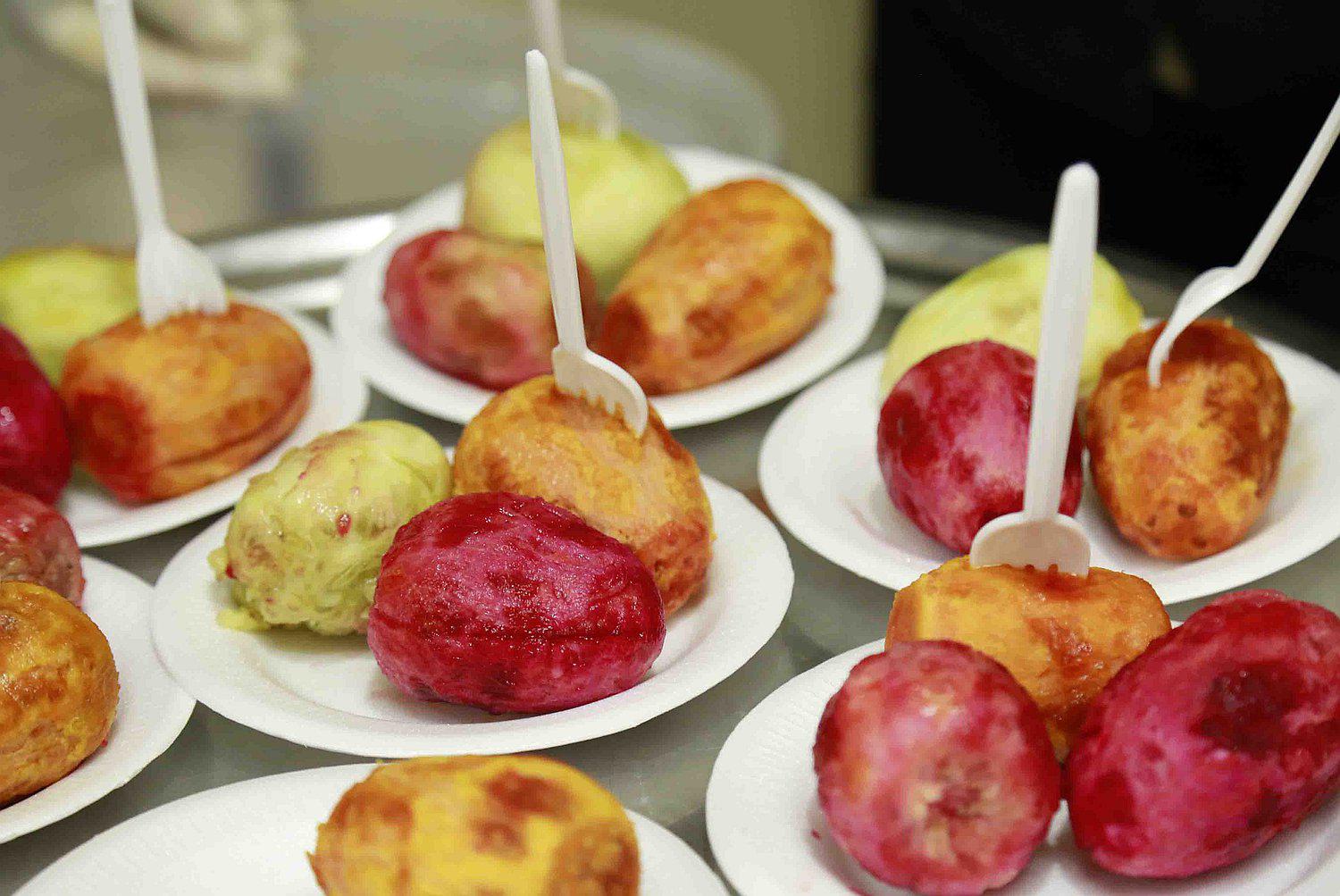 Suspenden festival de la tuna y cochinilla en el sector Agricultura