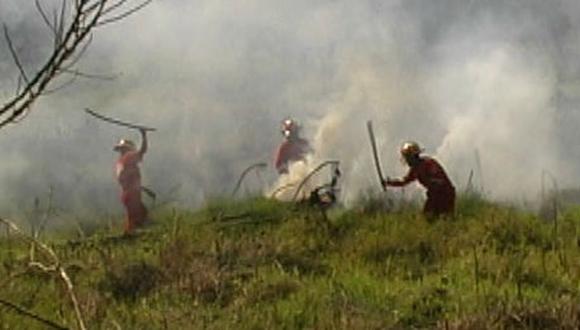 Incendio forestal en selva central moviliza a bomberos 