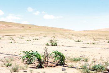 Distrito de Ite avanza con visión futurista