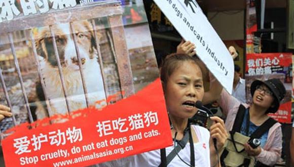 Festival de consumo de carne de perro en China despierta críticas