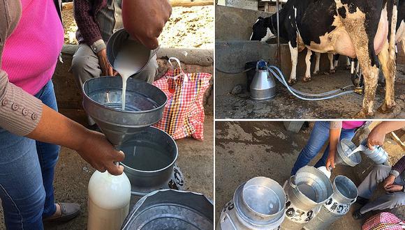 Arequipa: Promoverán venta de leche fresca en mercados