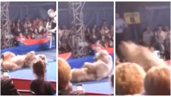 YouTube: oso ataca a público en pleno show circense y causa pánico (VIDEO)
