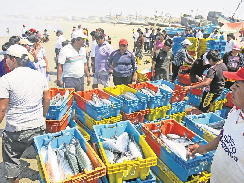 La pesca artesanal extrae especies  en mar recuperado