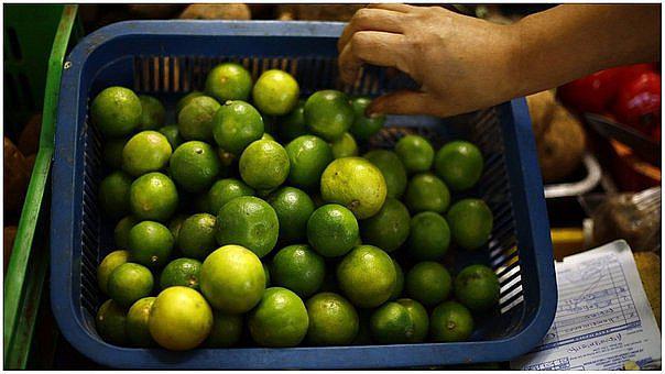 Minagri espera que el limón baje de precio a fines de setiembre