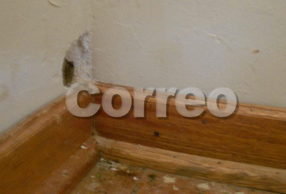 Ratas se comen productos de Qali Warma (FOTOS)