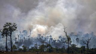 Brasil: deforestación en la Amazonía fue 85% mayor en 2019 que en 2018 (VIDEO)