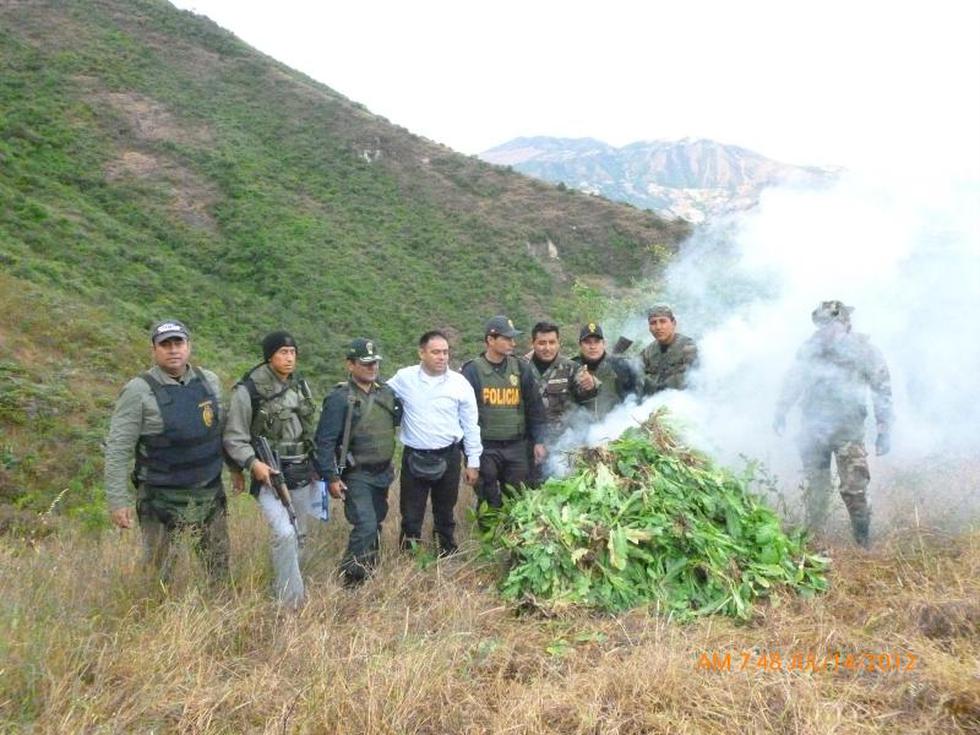 Amapola al por mayor en Huarmaca