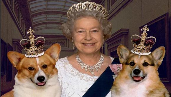 Isabel II: conoce la exclusiva dieta que siguen los perros de la reina 