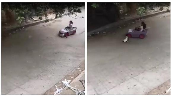 Niña atropella con su carro de juguete a un gato y se vuelve viral (VIDEO)